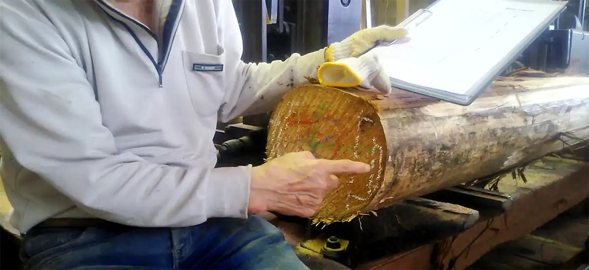 木材資源を余すことなく活用