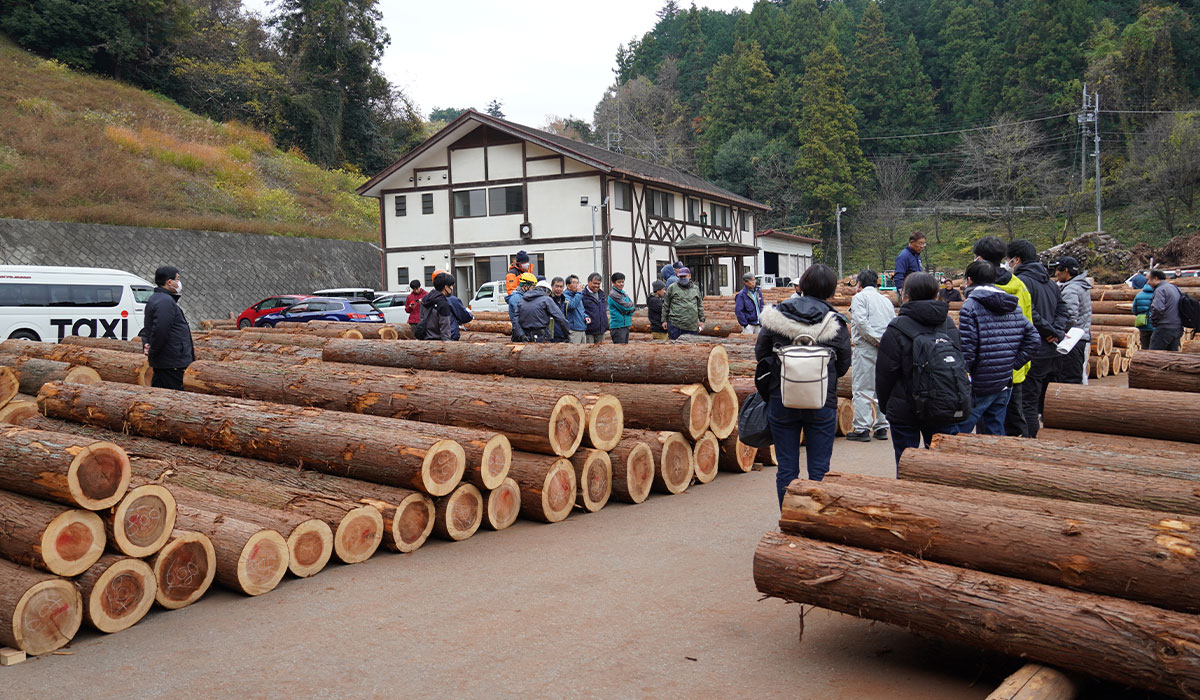 木材市場の様子