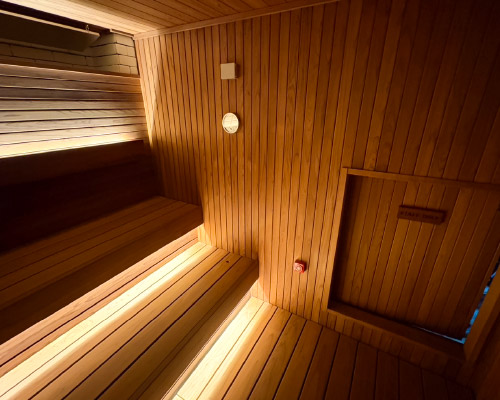 東京都大田区,オートロウリュ,天然温泉