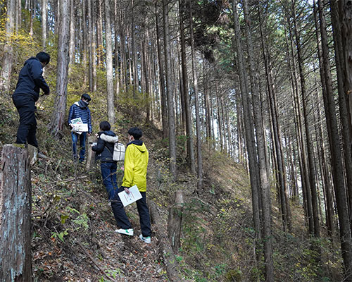 多摩の森と木材の学習ツアーの様子