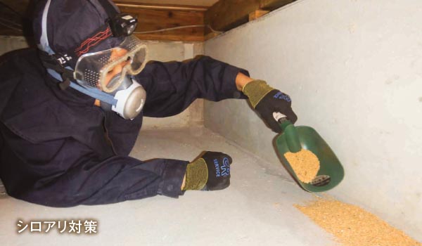 粒状防蟻施工でより安全確実なシロアリ対策