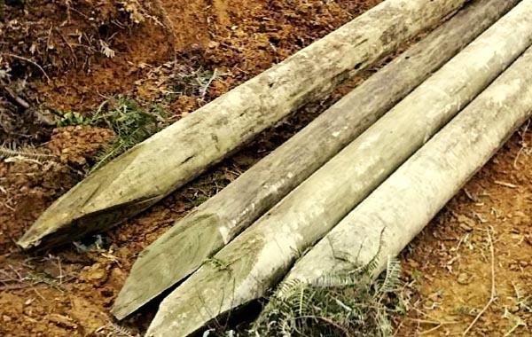 木杭を使用した土砂災害を抑止工法