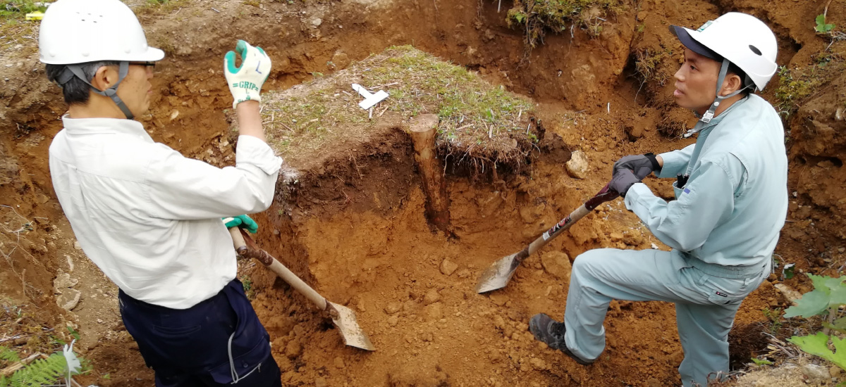阿部先生（委員）と木杭抵抗力試験を実施し工法を開発中