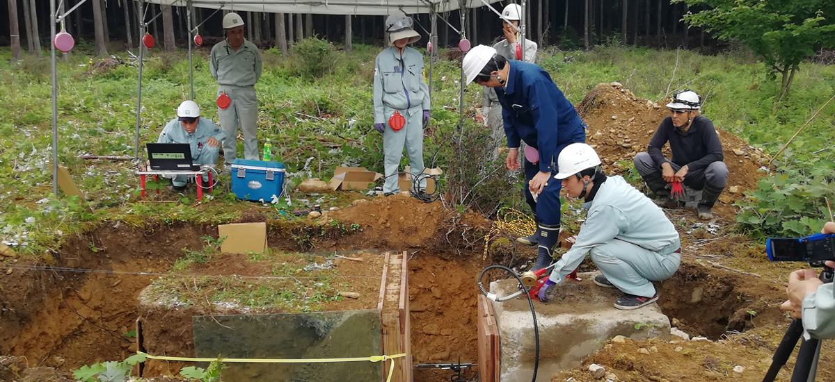 石川先生（委員長）と木杭抵抗力試験を実施し工法を開発中