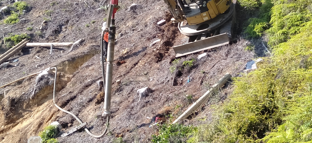 社有林（三重県）の斜面へ木杭打ち込み試験を実施