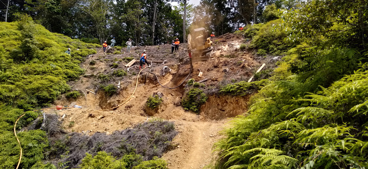 社有林（三重県）での山腹崩壊予防工法の実地試験