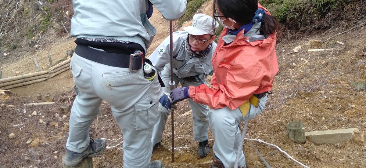 社有林での簡易貫入試験による表土層、基盤層の調査