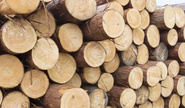 木製サッシには国産材のヒノキを使用