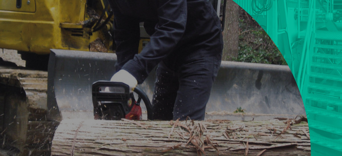 建築設計者と山に行き日本の林業の現状や木材利用の重要性を知る